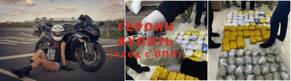стафф Гусев