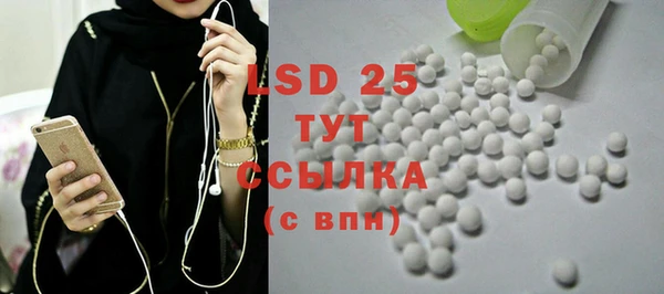 стафф Гусев