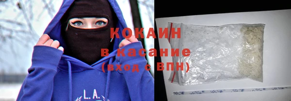 стафф Гусев