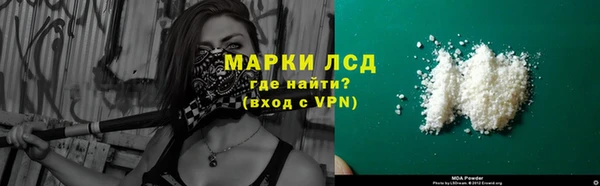стафф Гусев