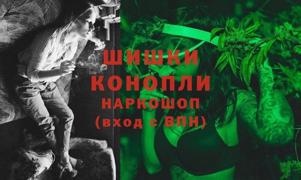 стафф Гусев
