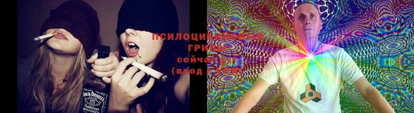 соль ск Горнозаводск